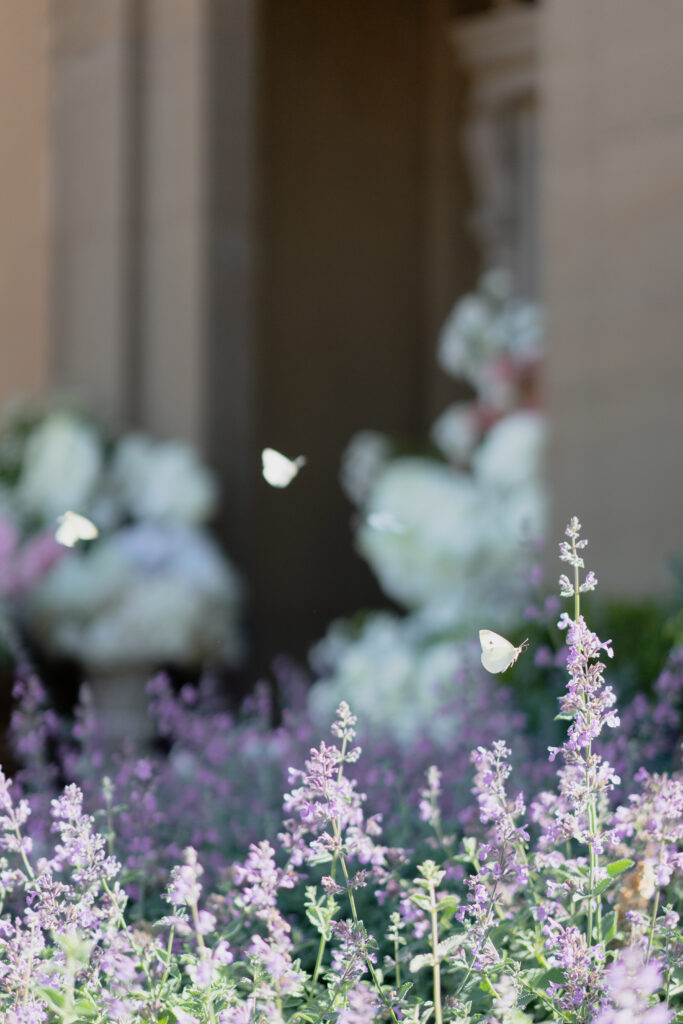 Romantic wedding venue in Melbourne